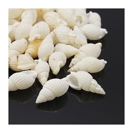 Korpusi ar caurumu 50g. KK0022
