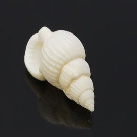 Shells with a hole 50g.
