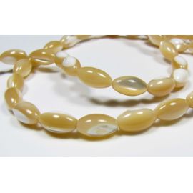 Shell beads 8x5 mm PM0027