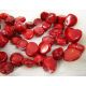Dabīgās koraļļu pērlītes 15x12 mm AK0610