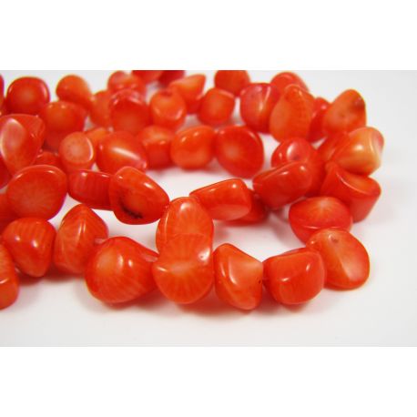 Dabīgās koraļļu pērlītes 12x8 mm AK0612
