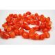 Dabīgās koraļļu pērlītes 12x8 mm AK0612