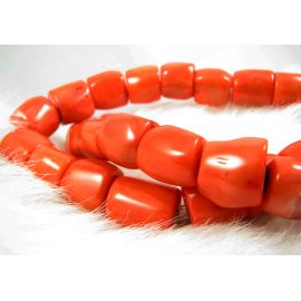 Natural coral beads strand 15x13 mm