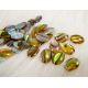 Abalone Shell Cabochon 8x6 mm, 1 Stck. KB0148