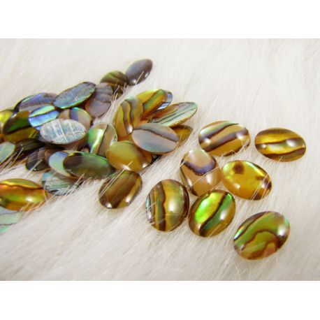 Abalone Shell Cabochon 8x6 mm, 1 Stck. KB0148