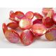 Shell beads 20 mm, 1 pc. PM0045