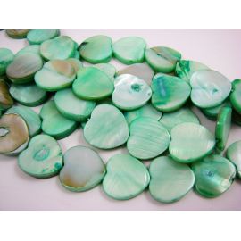 Shell beads 15 mm, 1 pc. PM0060