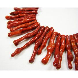 Looduslik koralloksa haru24x6 mm