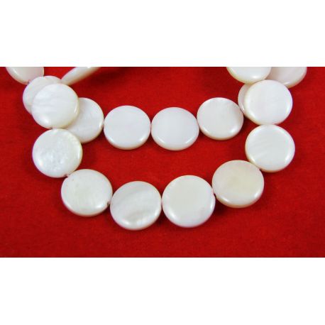 Shell beads 12 mm, 1 pc. PM0112