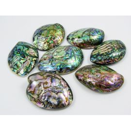 Abalone Shell Cabochon 52x39 mm, 1 Stck.