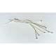 Stifte 50x0,5 mm, 10 Stk. MD0233