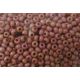 Preciosa seed beads (46205) 8/0 50 g 39001/07403-11