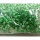 Preciosa biseris (01098) 10/0 50 g 01098-10