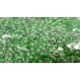 Preciosa biseris (01110) 10/0 50 g 01110-10