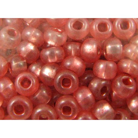 Preciosa seemneterad (46205) 8/0 50 g 27091-7