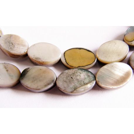 Shell beads 12 mm PM0014