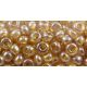 Preciosa seed beads (46205) 8/0 50 g 16070-7