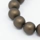 SHELL perlų karoliukai 10 mm, 10 vnt. SH0014