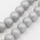 SHELL pearl beads 10 mm, 10 pcs. SH0015