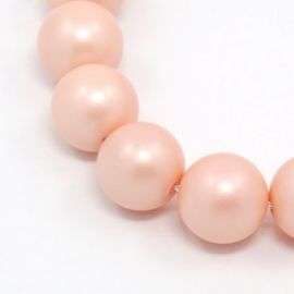 SHELL pearls, pink - body color round shape 8 mm, 10 pcs