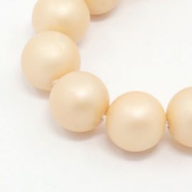 SHELL pearls, champagne round shape 8 mm, 10 pcs