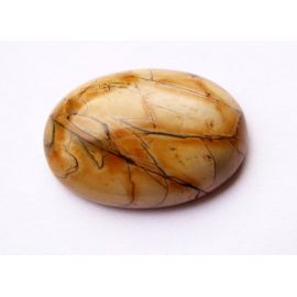 Jaspio kabošonas 25x18 mm KB0014