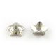 Nerūsējošā tērauda 304 vāciņš 7x7x2 mm., 6 gab. MD1825