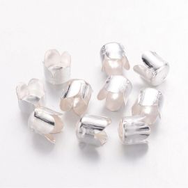Beads caps 7x6.5 mm., 6 pcs.