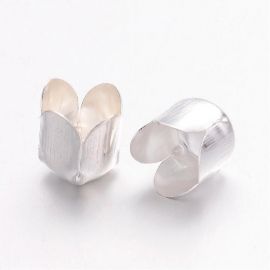 Beads caps 7x6.5 mm., 6 pcs. MD1860