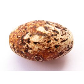 Agato pakabukas 27x16 mm PK0018